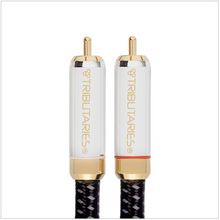 Load image into Gallery viewer, Tributaries Series 8 Analog Audio Cable (Stereo or Mono)